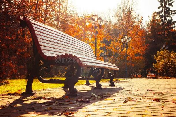 秋十月风景.长凳在指已提到的人秋公园在下面彩色的