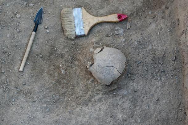 指已提到的人工具关于指已提到的人考古学家是坐落的在近处人遗骨.