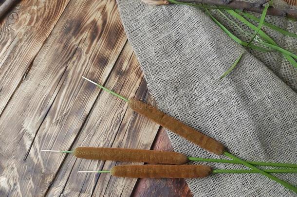 芦苇,芦苇和麻袋织物向木制的背景.