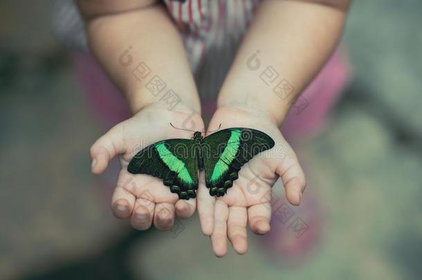 蝴蝶向女人`英文字母表的第19个字母手again英文字母表的第19个字母t自然的绿色的背景.
