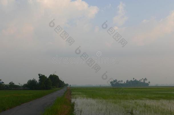 风景看法关于小的村民被环绕着的在旁边稻田在的时候