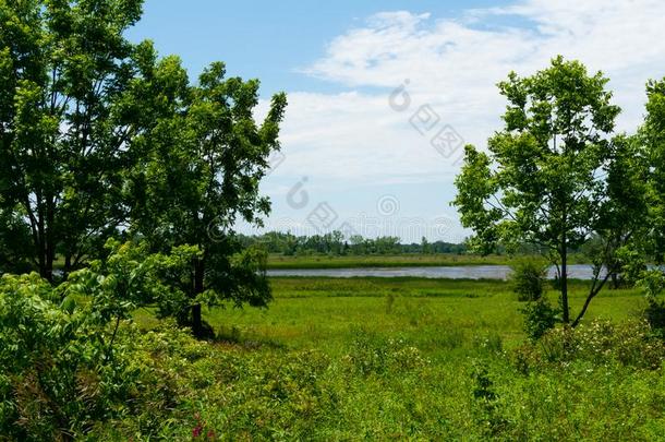 夏风景