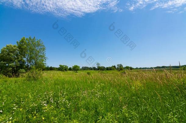 夏风景