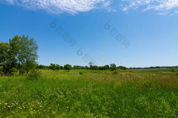 夏风景