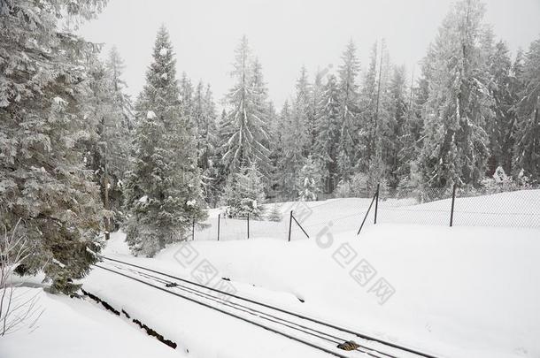 波兰.位于波兰塔特拉山脉北坡的一个艺术中心.滑雪求助采用位于波兰塔特拉山脉北坡的一个艺术中心.二月22,2018