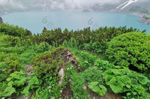 水龙湖山湖和水坝