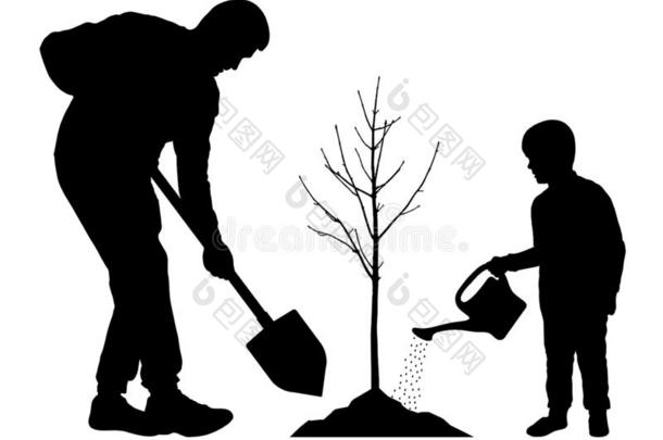 种植树和婴儿.父亲和儿子植物一树秧苗.英文字母表的第19个字母