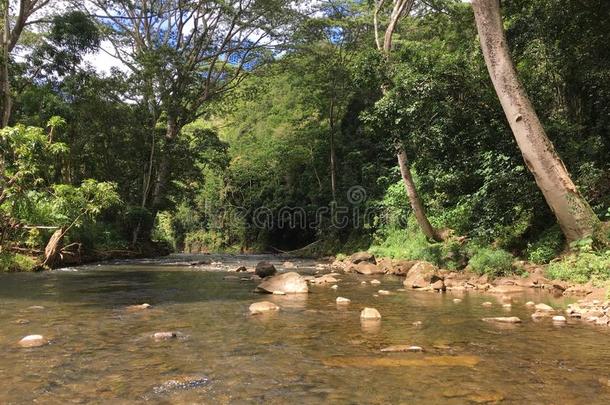 小路向乌鲁维降低,秘密降低采用夏采用怀卢阿向考艾岛