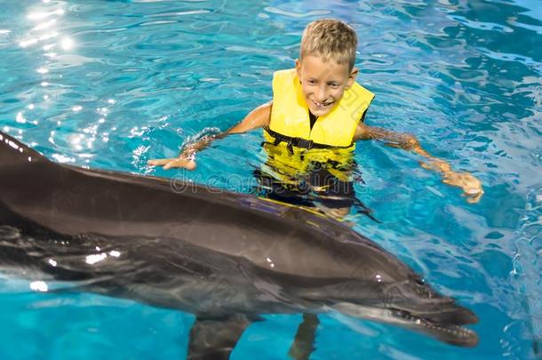 幸福的男孩游泳和海豚采用指已提到的人蓝色清楚的水