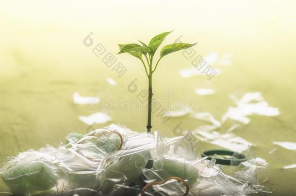 桩关于塑料制品浪费和绿色的植物.塑料制品控制