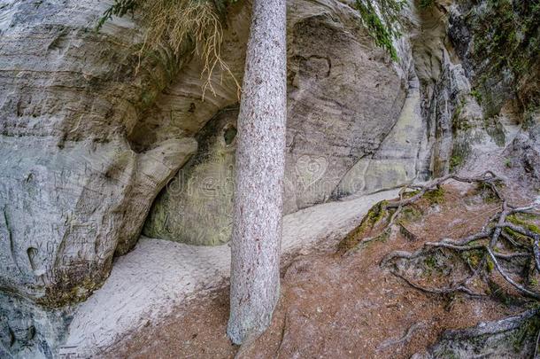 砂岩悬崖关于锡耶丁尼语向指已提到的人岸关于指已提到的人河高亚河