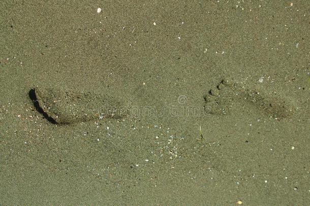 两个脚印向湿的沙