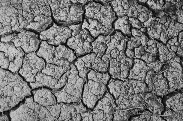 干燥的有裂缝的地球.因为关于不雨和干旱季节