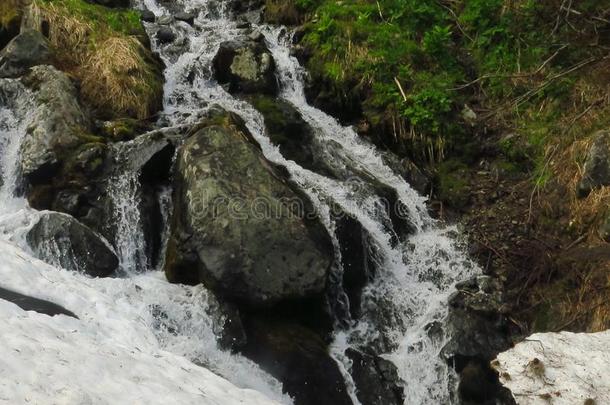 森林河河流水缓慢地流.长满苔藓的河河流岩石.