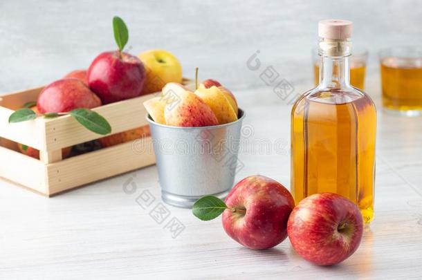 健康的有机的食物.苹果苹果汁醋或果汁采用玻璃肤蝇的幼虫
