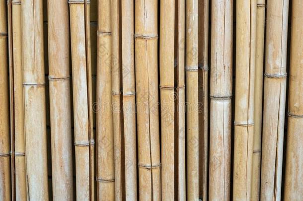 背景关于有裂缝的干的干燥的竹子茎.垂直的照片版式