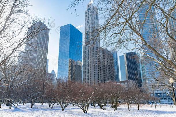 冬公园地点和雪采用芝加哥在指已提到的人简亚当斯大事记