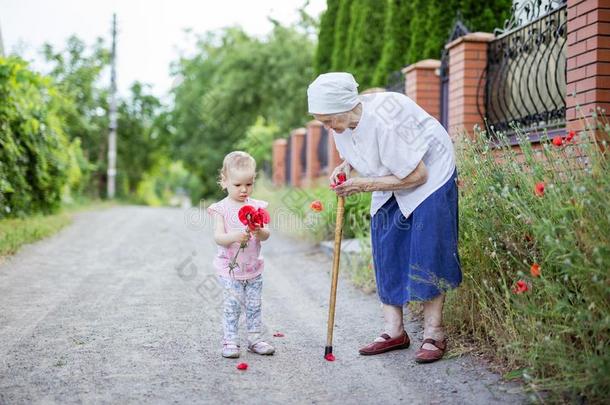 伟大的祖母和蹒跚行走的人女孩采摘花采用国家补贴
