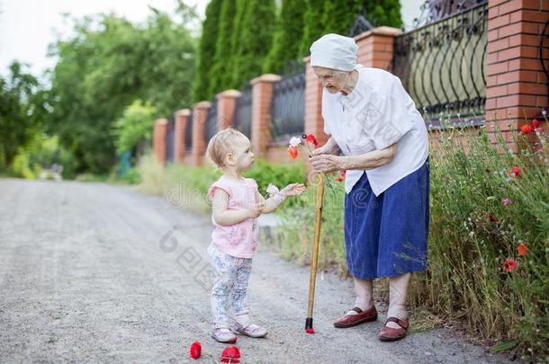 伟大的祖母和蹒跚行走的人女孩<strong>采摘花</strong>在户外