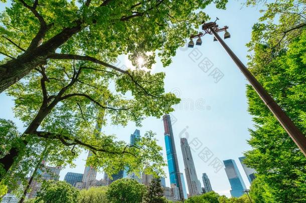 曼哈顿地平线框架坝在旁边自然.摩天大楼,看法从cent