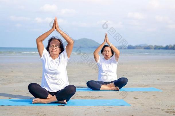 两个上了年纪的女人aux.构成疑问句和否定句瑜伽在指已提到的人海滩