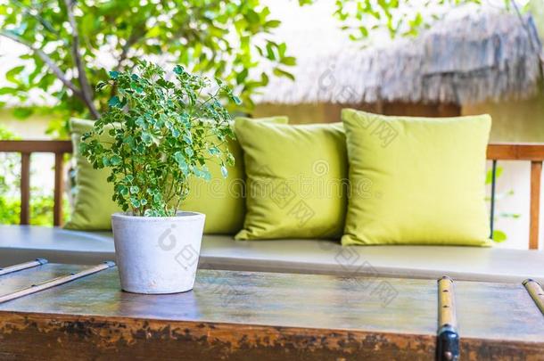 装饰瓶植物向表decorati向和枕头向<strong>沙发椅子</strong>