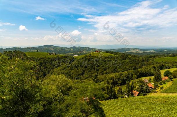 葡萄园采用南方施泰尔马克州采用奥地利.风景关于莱布尼茨地区