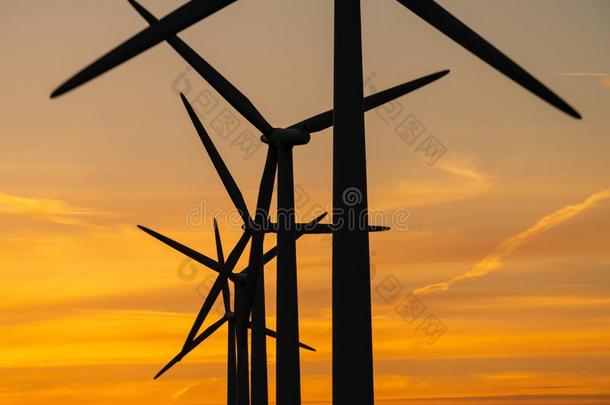 风涡轮机能量发电机向风农场