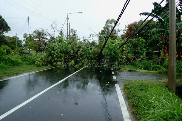 指已提到的人<strong>阵亡</strong>者和碰撞电的极点后的一强的雷电交加的暴风雨一