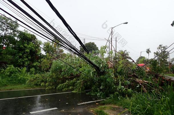 指已提到的人<strong>阵亡</strong>者和碰撞电的极点后的一强的雷电交加的暴风雨一