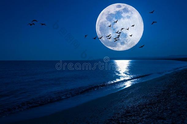 幻想夜海景画和超级的月亮和飞行的鸟