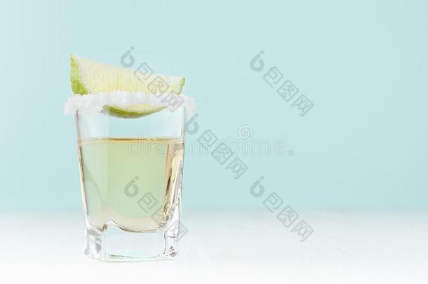 冷静的夏饮料为社交聚会-蒸馏酒和盐边和绿色的