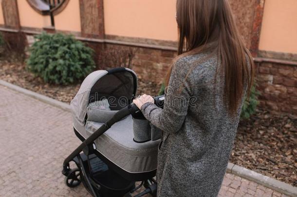 年幼的母亲步行和她新生的婴儿采用散步者.灰色的payrollaudit薪水审计