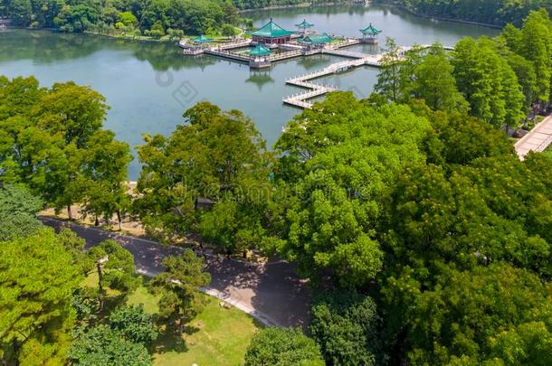 夏风景关于武汉东湖风景优美的地点