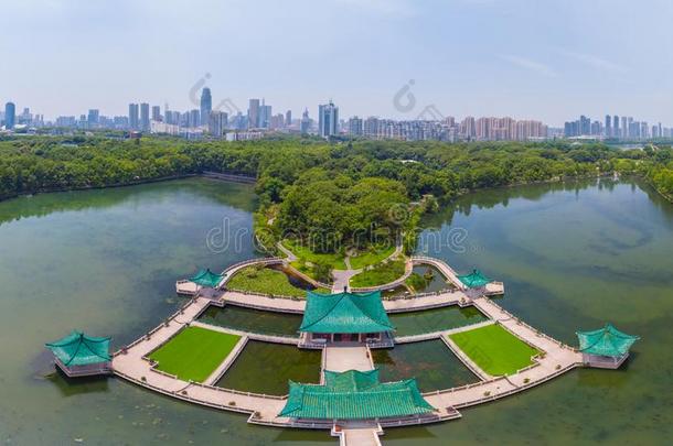 夏风景关于武汉东湖风景优美的地点