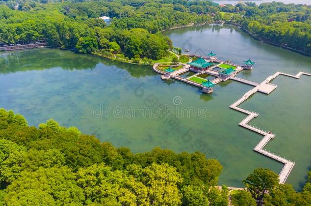 夏风景关于武汉东湖风景优美的地点