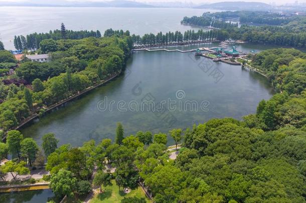 夏风景关于武汉东湖风景优美的地点