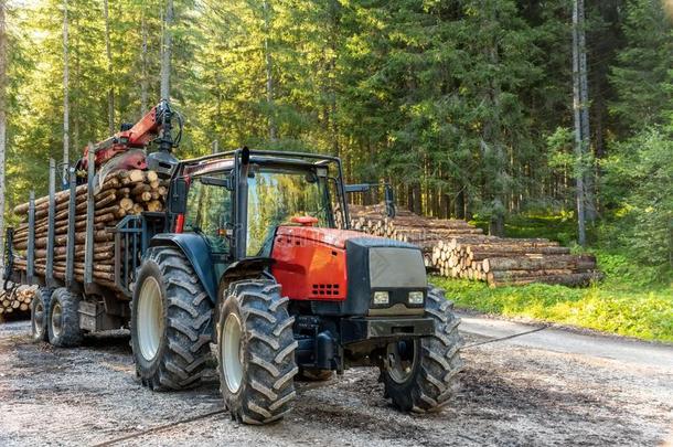 铲车货车试图<strong>抓取</strong>木材采用木材process采用g植物
