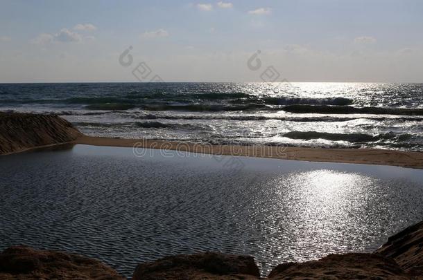 海岸关于指已提到的人地中海的海采用指已提到的人领土关于指已提到的人国家关于