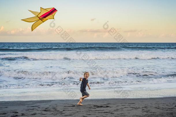 幸福的年幼的男孩飞行的风筝向指已提到的人海滩在日落