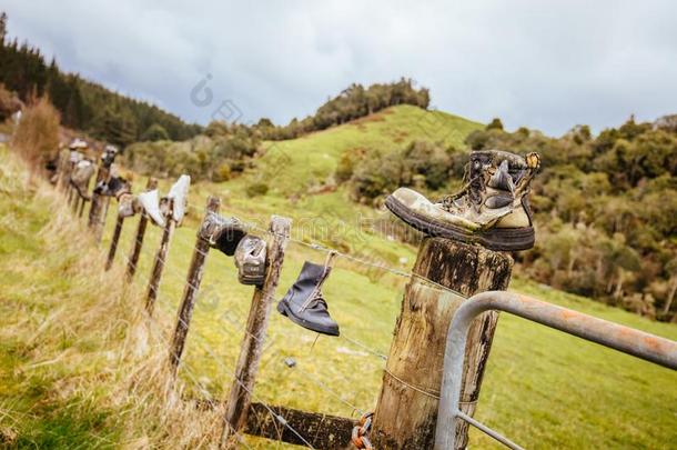 不定期运输擦靴人新的西兰岛
