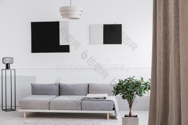 单色画灰色的,白色的和黑的活的房间内部和沙发