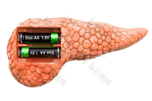 人胰和电池.恢复和治疗观念.3