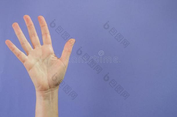 手和num.五手指凸起的向紫色的和复制品空间