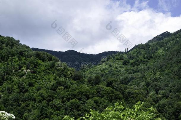 山风景-蓝色天,白色的云,森林,绿色的植物