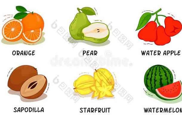 成果,成果收集,桔子,梨,水苹果,赤铁科常青树或其果实,