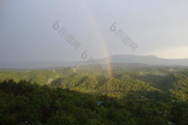 春季采用指已提到的人SmokyMountainsbetweenNortCarolinaand田纳西州位于北卡罗来纳州和田纳西州之