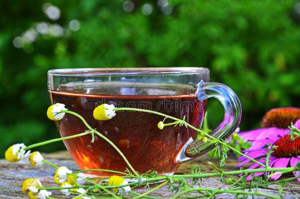 茶水和松果菊属植物有用<strong>的</strong>向健康状况