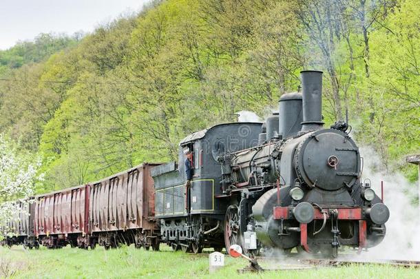 蒸汽货运火车&字母字母x28;126.014&字母字母x29;,雷萨维卡,塞尔维亚
