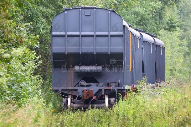 货运火车向指已提到的人老的铁路采用指已提到的人森林